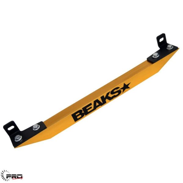 Beaks EG