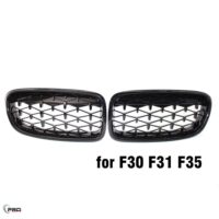 Bmw-grill-F30-Star-Look-2.jpg