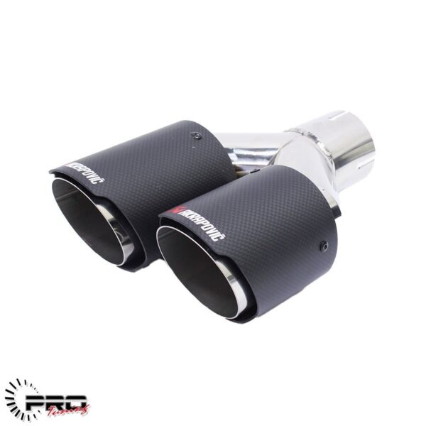 Exhaust Tips Double Carbon