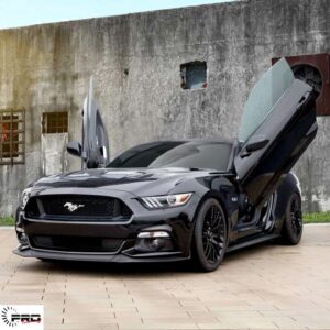 Lambo Door
