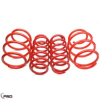 lowering-spring-set-1199x1199-1.jpg