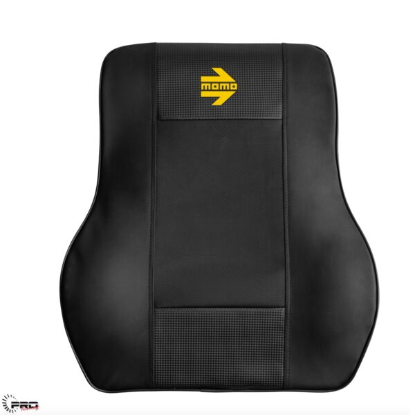 CAR LUMBAR SUPP.ERGON CARBON